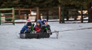 Myths about the Finnish education system