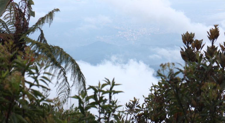 Parque Farallones de Cali